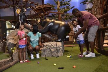 אתר נופש Great Wolf Lodge Georgia