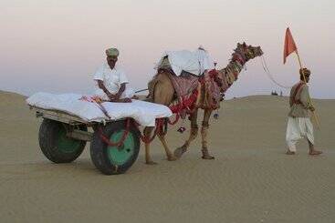 별장 Royal Desert Camps