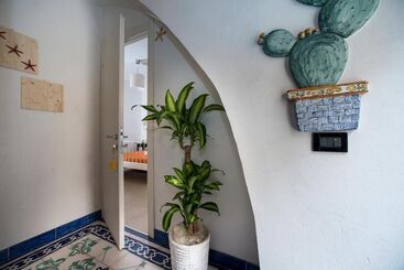 Zammu Bed And Breakfast