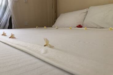 Отель Blue Earth Beach Bungalow