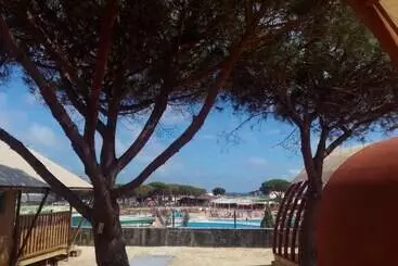 ホテル Camping Doñana   Playa