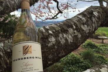 Nocleg ze śniadaniem Youngberg Hill