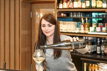 Novotel Saintetienne Centre Gare Chateaucreux