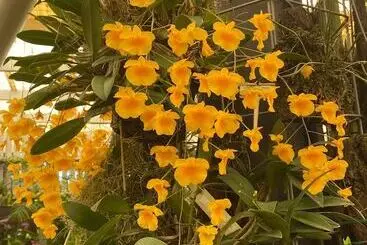 Hotel Big4 Mackay Blacks Beach Holiday Park