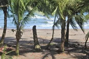 Coconut Hostel B&b