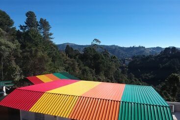 호텔 Forest Colors Pousada