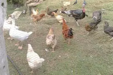 Bed & Breakfast Casa Huespedes El Molino