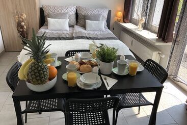 Apartamenty turystyczne Apartments City Stadion