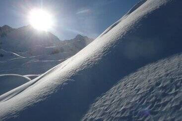 Huoneisto Chalet Alpin