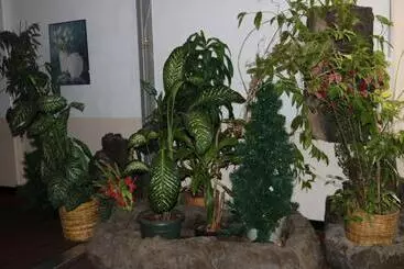 Hotel New Harmon Loop