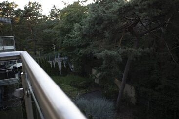 관광객 아파트 Dariusz Apartament Premium Jurata Z Garażem