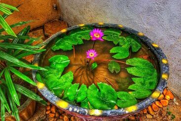 Aparthotel Empire Valley