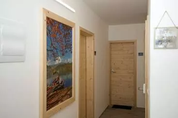 Pensiune Vila Alpina