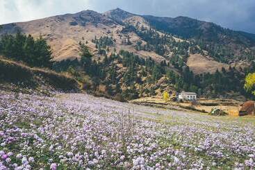 Hotel Kyirmu Lodge Phaplu