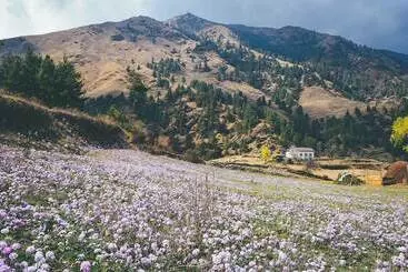Hotel Kyirmu Lodge Phaplu