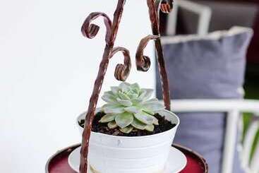 Pensionat Arbour1 Guesthouse