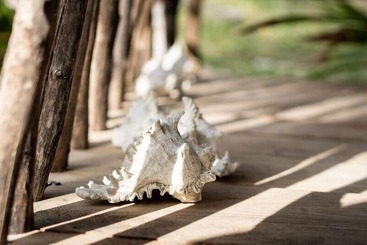 Pension Blue Ocean Resort