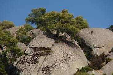 Appartements touristiques Spathies