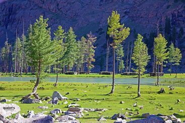 Hotel Shelton Rezidor Swat