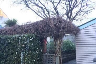 הוסטל Vagabond Backpackers