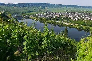 Majatalo Gästehaus Moselkloster