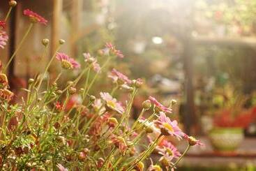 Hospedaje Venka Urubamba   Hostel