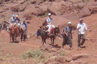 Bed and Breakfast Tizi Maison D Hôtes