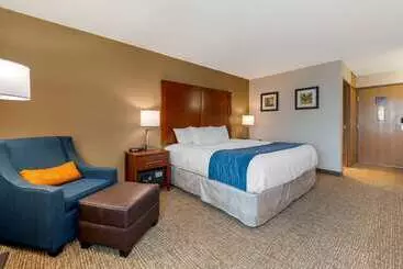 酒店 Comfort Inn Anderson South