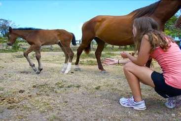 Tourist flats Kelso Villa, 4br By Jamaican Treasures
