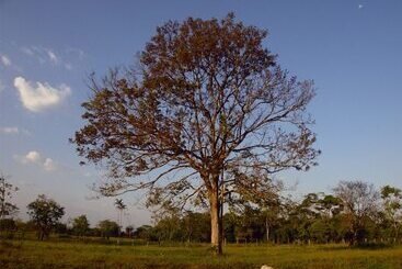 ホテル Rio Humadea