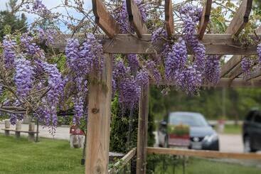 Отель The Ashwood Inn