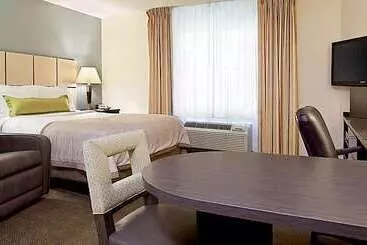 Отель Sonesta Simply Suites Clearwater