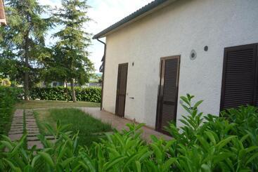 Pensionat Affittacamere Albafiorita