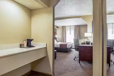 Otel Comfort Suites Knoxville Airport