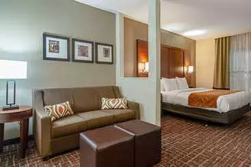 Otel Comfort Suites Nw Dallas Near Love Field
