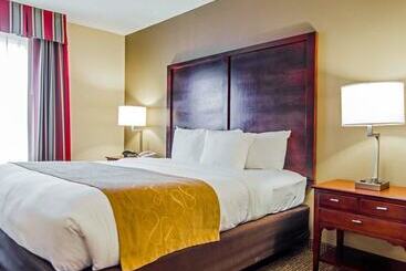 酒店 Comfort Suites
