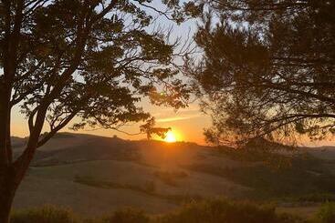 Bed and Breakfast Podere San Francesco