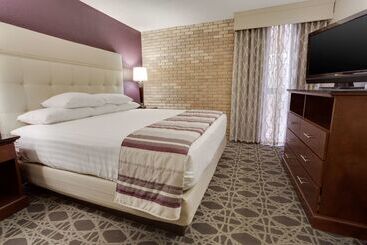 Drury Plaza Hotel San Antonio Airport