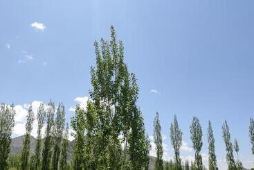 Pensão Noor Guest House