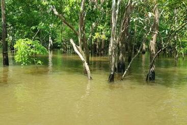 Vilaverin Apartments
