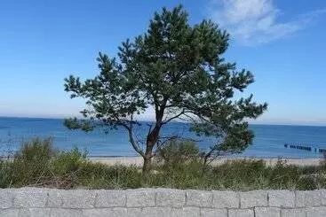 ペンション Czar Morza Pokoje Goscinne