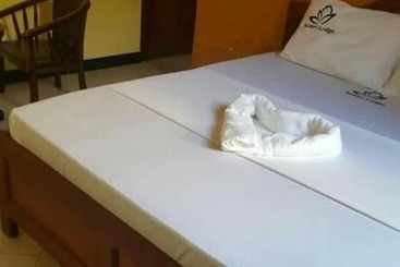 تختخواب و صبحانه Safari Lodge Kunduchi