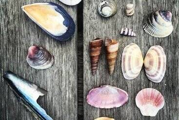 Pensjonat The Beachfront Bach