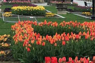 צימר The Hydrangea Inn