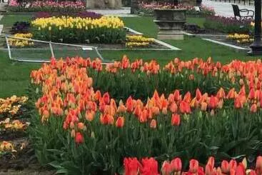 Aamiaismajoitus (B&B) The Hydrangea Inn