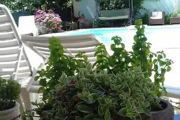 Turistihuoneistot Apartments Gvacic