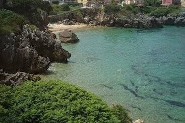 Hotel Camping Entreplayas