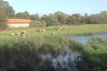 Mökkimajoitus Lackford Lakes Barns