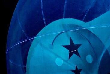 Pensjonat Le Castelat De Julienna