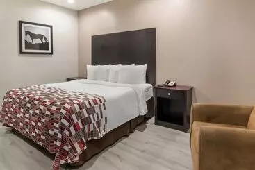 호텔 Red Roof Inn Terrell